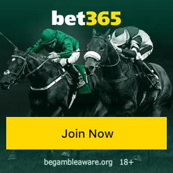 Bet365 Horse Racing Betting
